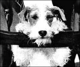 Asta in chair