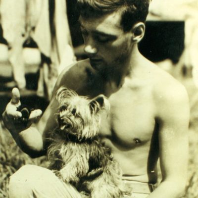 Smoky War Dog
