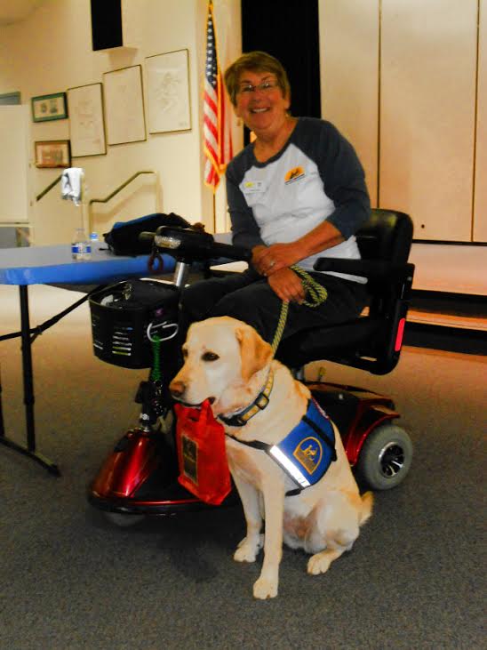 retiring a service dog