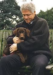 Clinton Dog