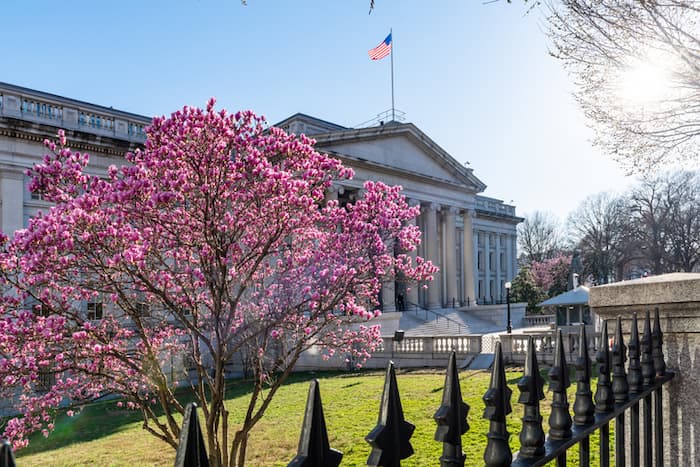 This is a color photo that shows how cherry trees were used in all parts of the  capital.