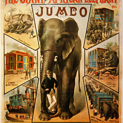 Jumbo