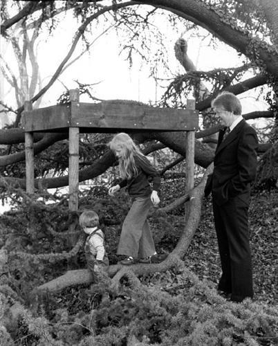 Amy Carter Tree House