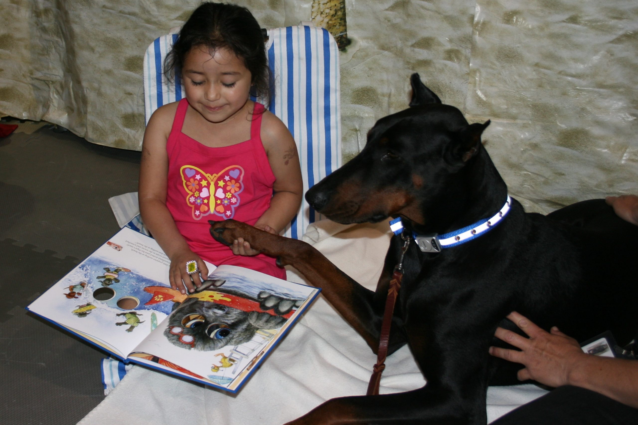Doberman reading with BARK