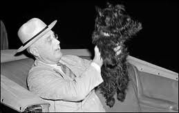 Fala and FDR