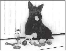 Fala gives up rubber toys