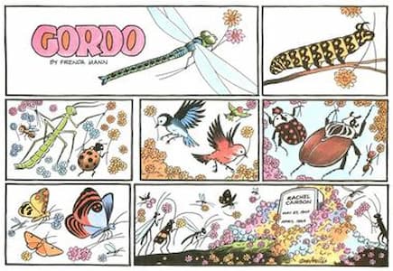 The strip features birdsd and bugs and flowers and the natural world that benefited from her effort to rid the world of pesticides.