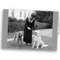 Coolidge dogs