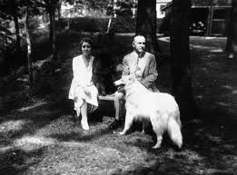 Coolidge dogs