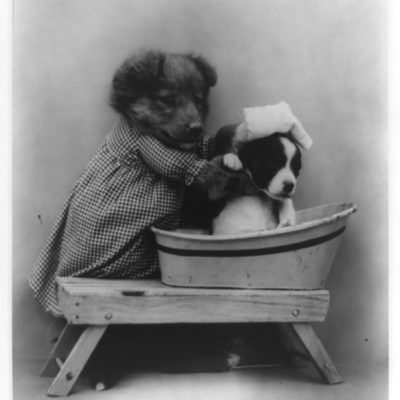 Harry Whittier Frees