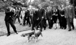 LBJ's Dogs