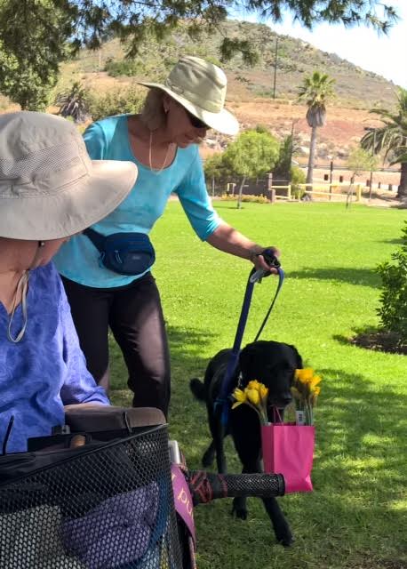 Indy returning to Mary carrying flowers