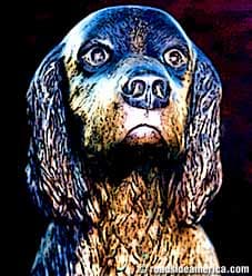 A bronze bust of Jim, showing his soulful eyes.