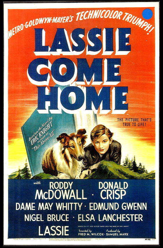 Lassie