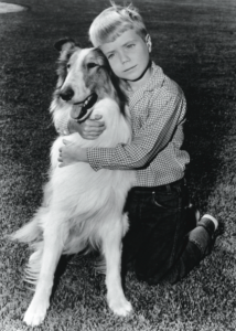 lassie-and-timmy-214x300