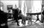 Ford's Dog Liberty