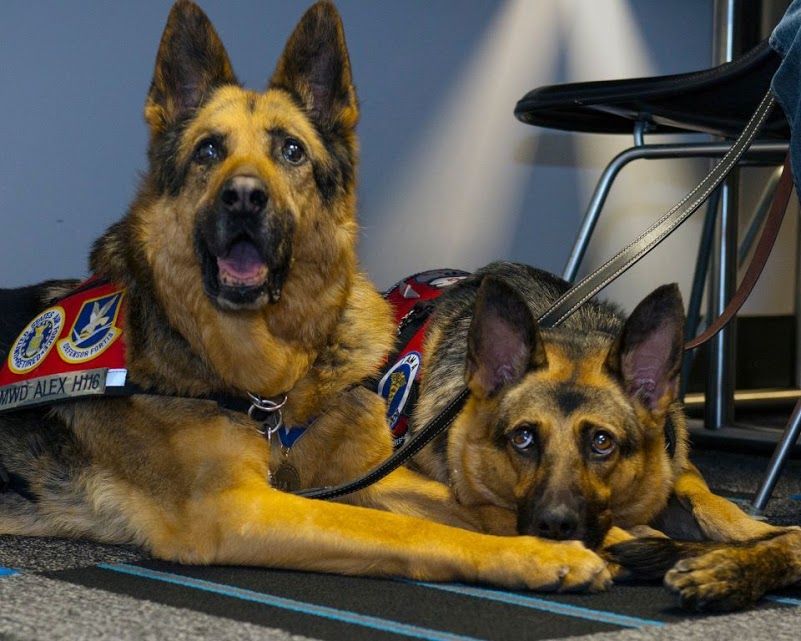 MWD Luke and Alex
