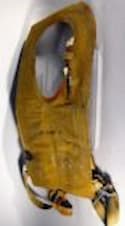 an old color photo of a used life preserver