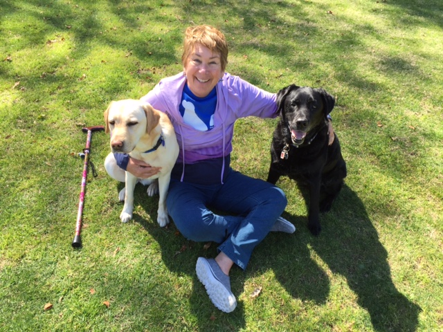 retiring a service dog