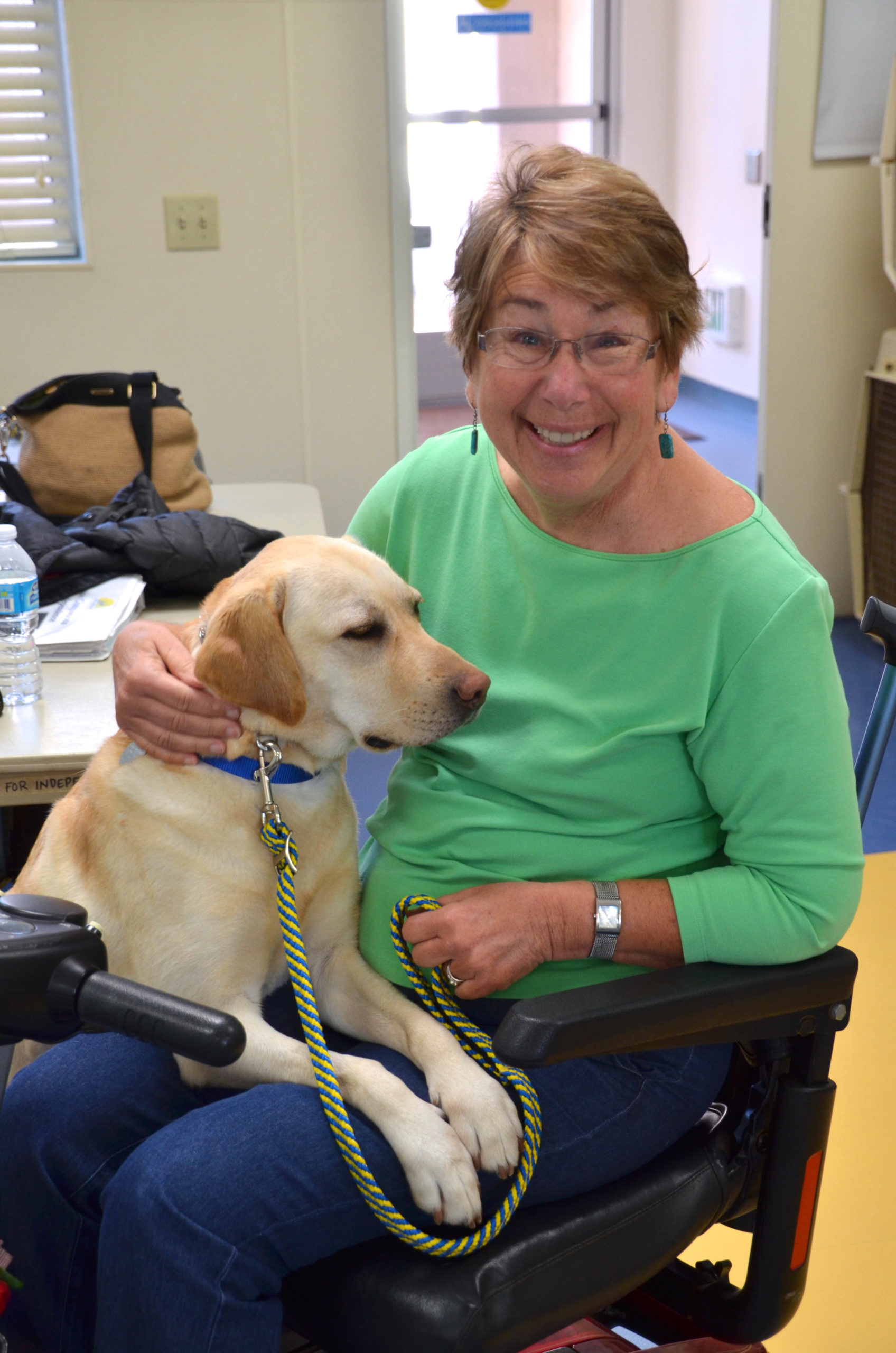 retiring a service dog