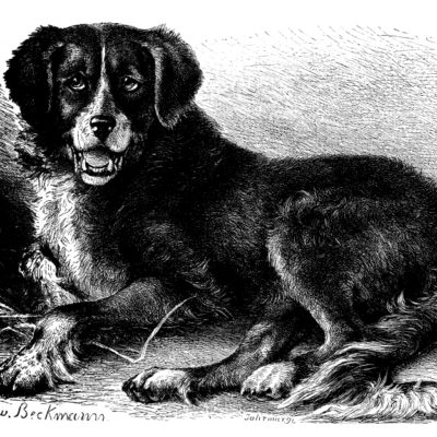 Newfoundland and Grant