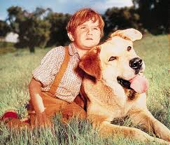 Old Yeller