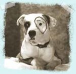 Pete image