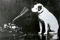 RCA dog