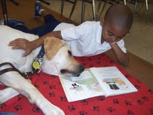 BARK therapy