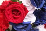 Rose flowers