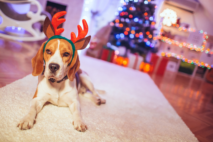 iStock Images