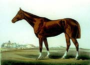 Salvator Currier & Ives