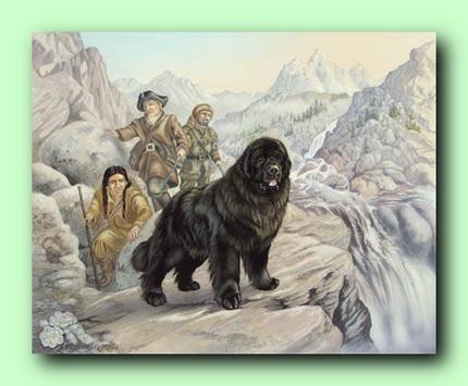 Lewis and Clark dog