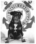 Sinbad, Coast Guard Mascot
