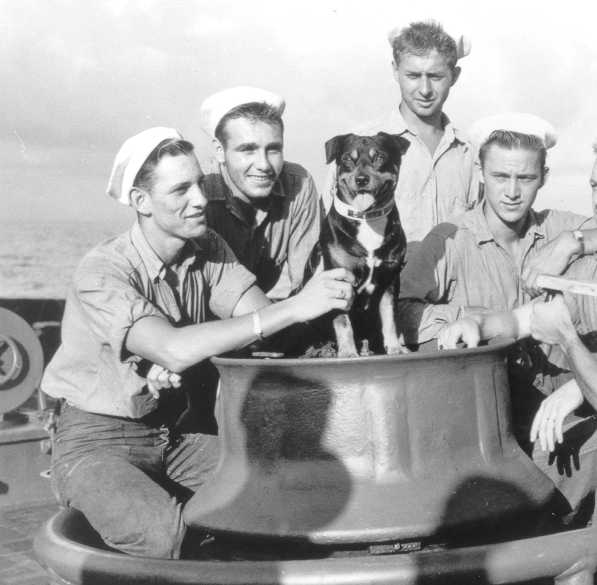 Sinbad, a Coast Guard mascot
