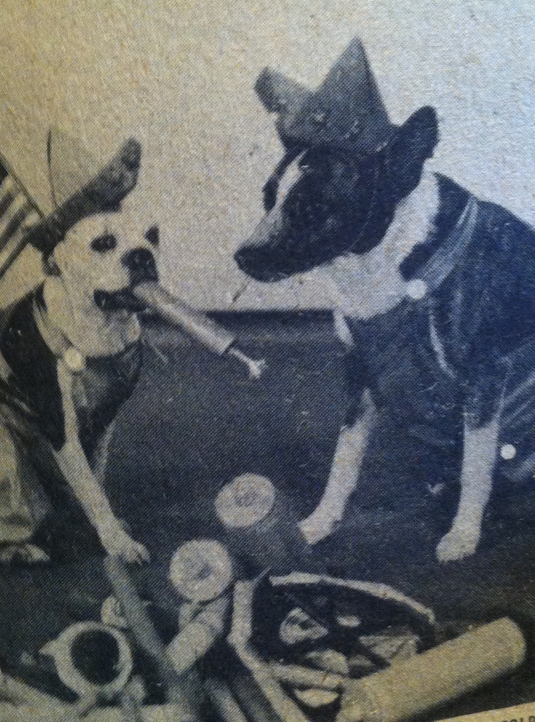 Smaller Buster 2