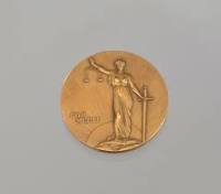 A photo of a gold medal with Lady Justice holding the scale.