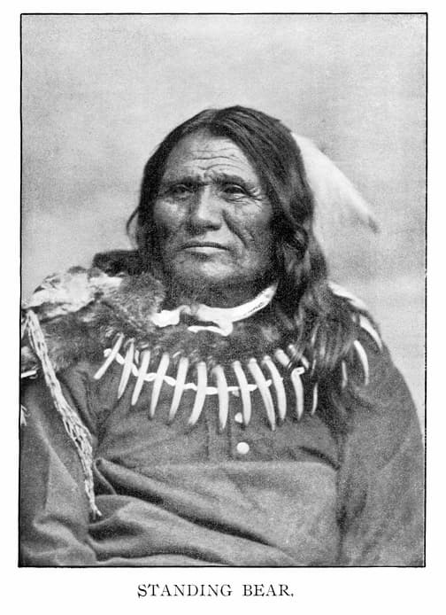 A black and white photograph of Standing Bear. His face is weathered. He proudly wears the bear tooth necklace he inherited from his father. istockimage