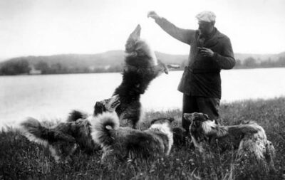 In this black-and-white photograph, Terhune holds a treat for one of the collies who jumps for it. Several other collies watch with full attention. The view behind them is of Pompton Lakes.