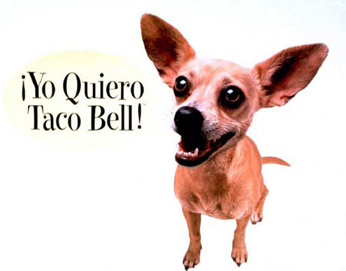 Taco Bell Dog