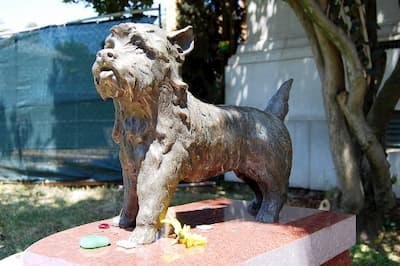 Toto memorial Hollywood Forever Cemetery