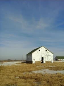 Weathered white barn in field against a threatening sky.