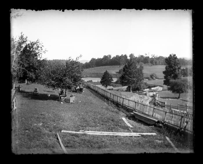 Apple orchard where Arthur Crumpler might have worked.