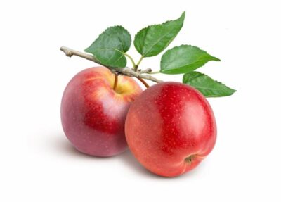 beautiful red apples on a branch