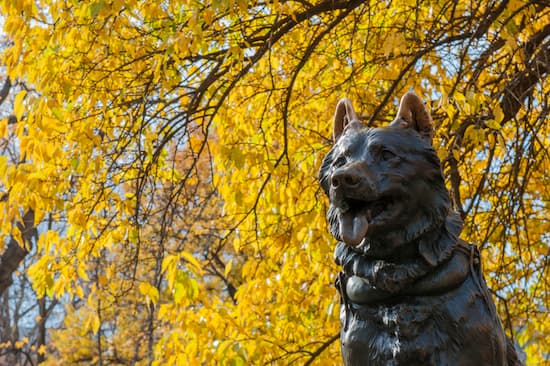 Balto Statue
istockphoto