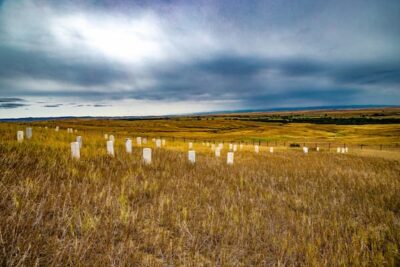 Photograph of battlefield today. Sun breaks through dark clouds and the tombstones stand in the field in white relief.