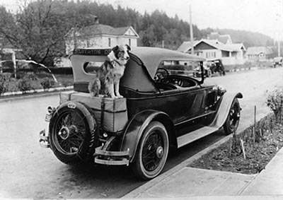 Bobbie and car