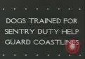 coast guard sign
