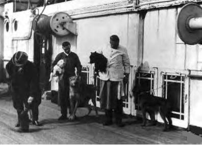 dogs on the Titanic