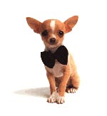 dressed up